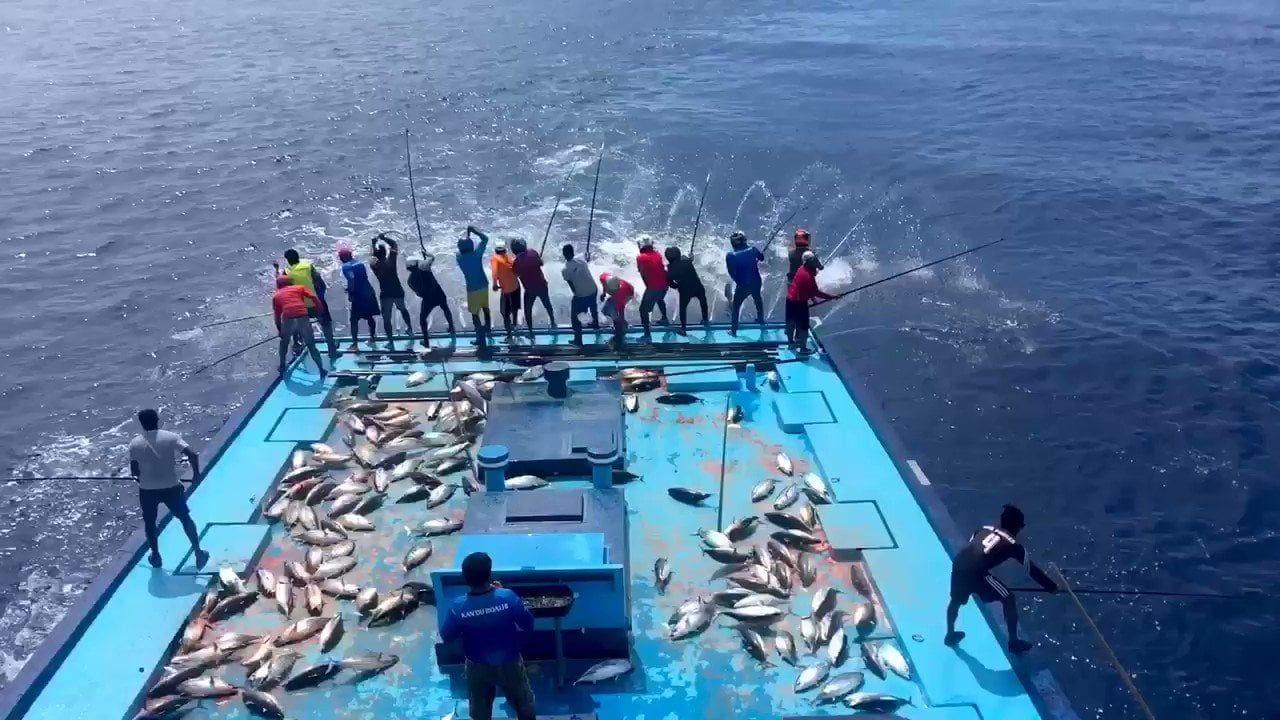 119 މަސްވެރިއަކަށް 15 މިލިއަން ރުފިޔާގެ ލޯނު ދޫކޮށްފި