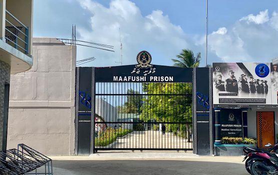 ޕެރޯލްގެ ދަށުން މިދިޔަ އަހަރު 27 ގައިދީން މުޖުތަމަޢުއަށް ދޫކޮށްލާފައިވޭ