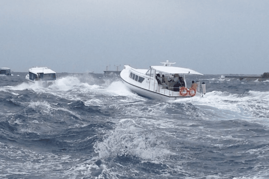 މޫސުން ގޯސް، ރާއްޖޭގެ ބޮޑުބަޔަކަށް ހުދު ސަމާލު