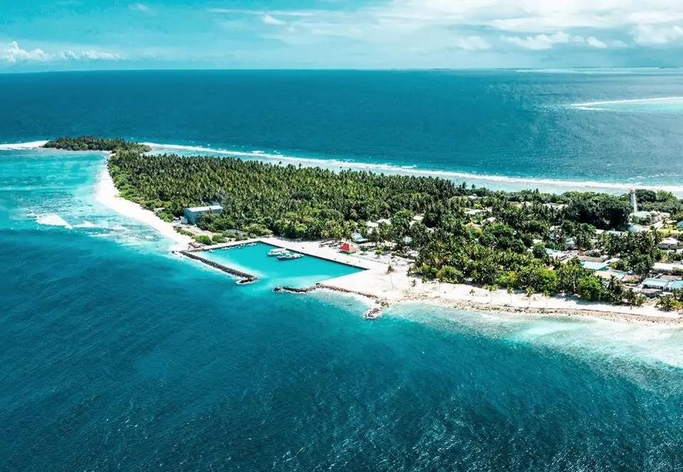 މަރުވެފައި އޮއްވާ ފެނުނު ހަށިގަނޑު ވަރަށް ބޮޑަށް ކުނިވެފައި، ސާމްޕަލް ނަގާ ތަހްގީގު ކުރަނީ