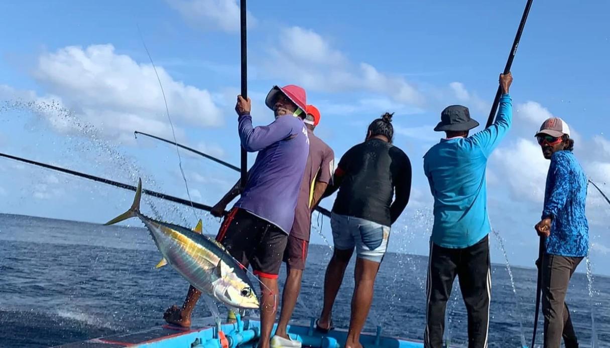 އަހަރުގެ ފުރަތަމަ ކުއާޓަރުގައި މަސްވެރިންނަށް 88.8 މިލިޔަން ރުފިޔާ