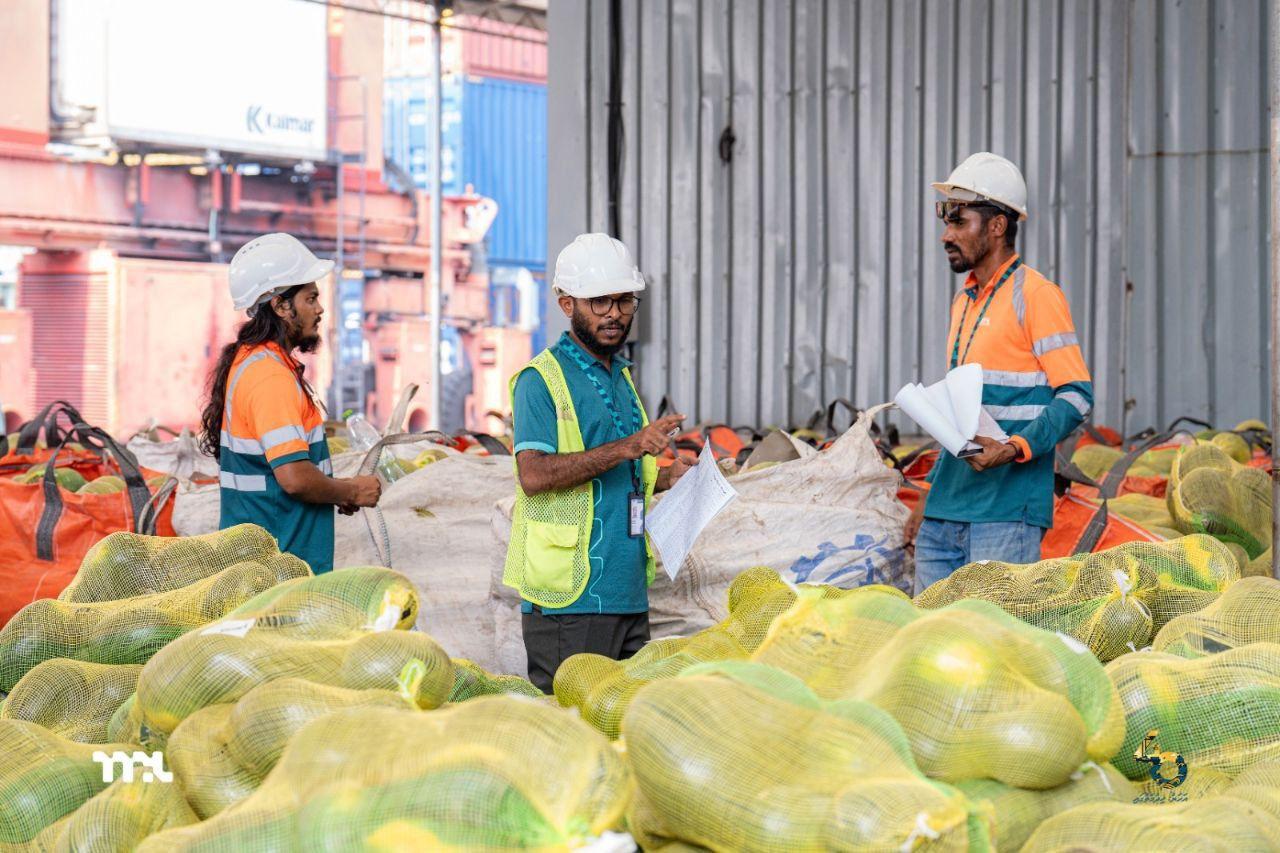 ވިޔަފާރި ބަނދަރުން މިއަދު މެންދުރާ ހަމައަށް، 13،113 ޕެކޭޖްގެ ޕެރިޝަބަލް މުދާ ކްލިއަރކޮށްފި