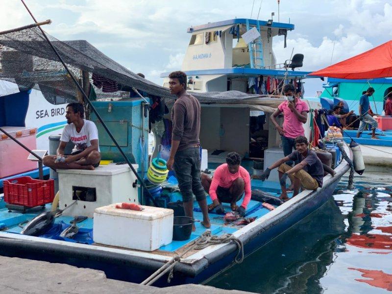 މަސް ލިބެމުން އަންނަ މިންވަރު ނިސްބަތުން މަދުވެއްޖެ: މަސްވިއްކާ ފަރާތްތައް