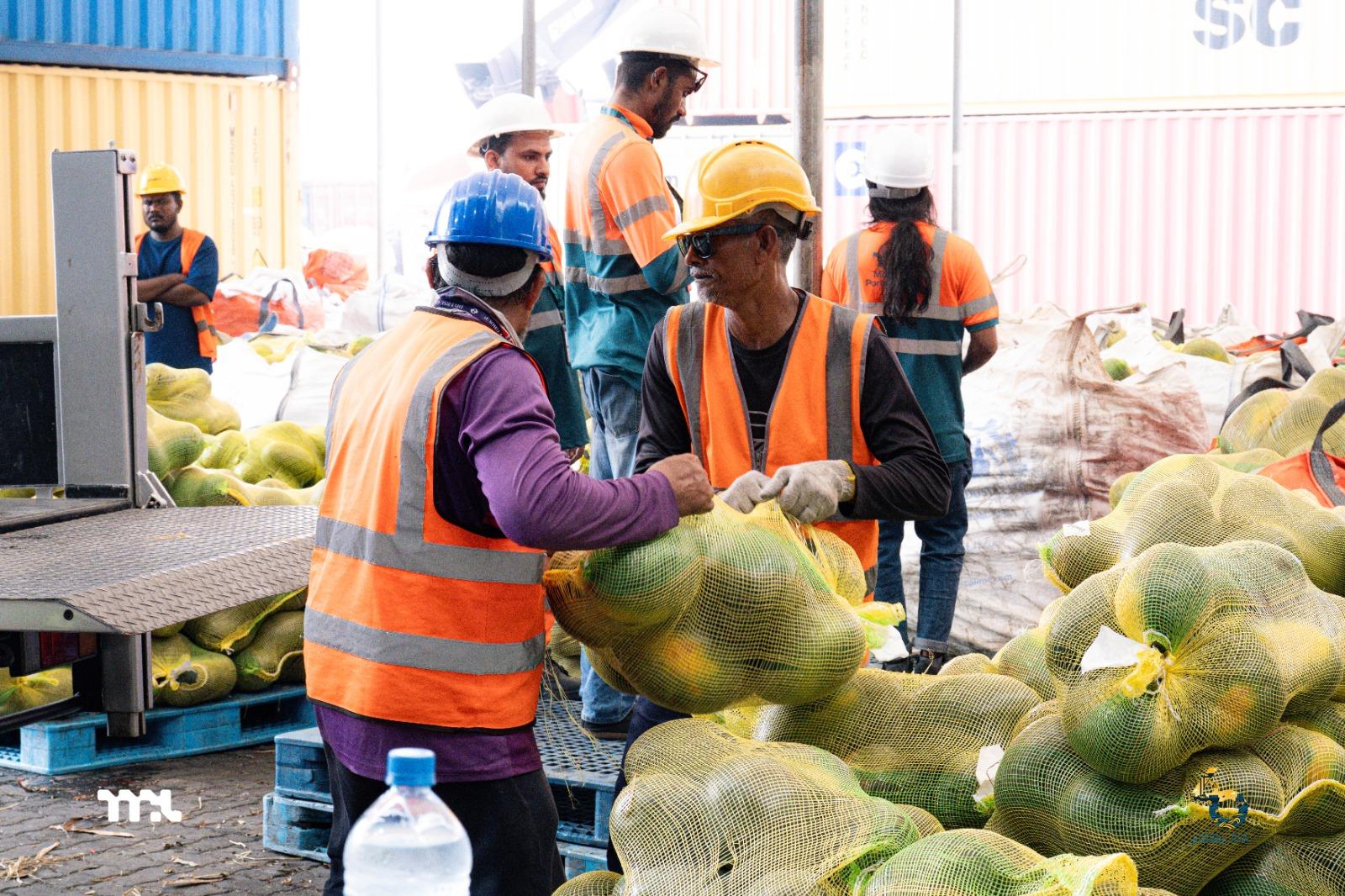 މިމަހުގެ ފުރަތަމަ ހަފުތާގައި 33،000 އަށްވުރެ ގިނަ ޓަނުގެ މުދާ އެމްޕީއެލް އިން ކްލިއާކޮށްފި