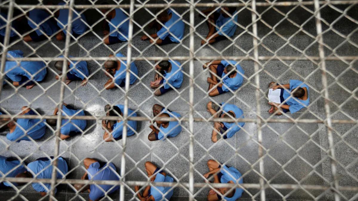 މަސްތުވާތަކެއްޗާއެކު ތައިލެންޑުން ހައްޔަރު ކުރި ދިވެއްސަކު ޖަލުގައި ނިޔާވެއްޖެ