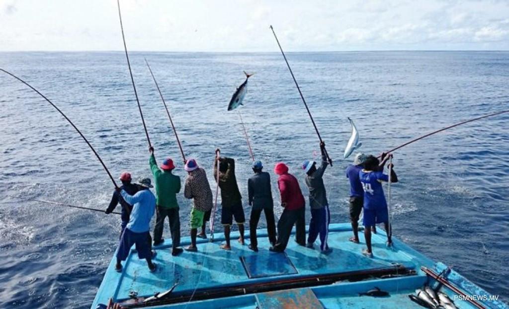 ނިމި ދިޔަ ޖަނަވަރީމަހު މަހުގެ އެކްޕޯޓް ދަށަށް