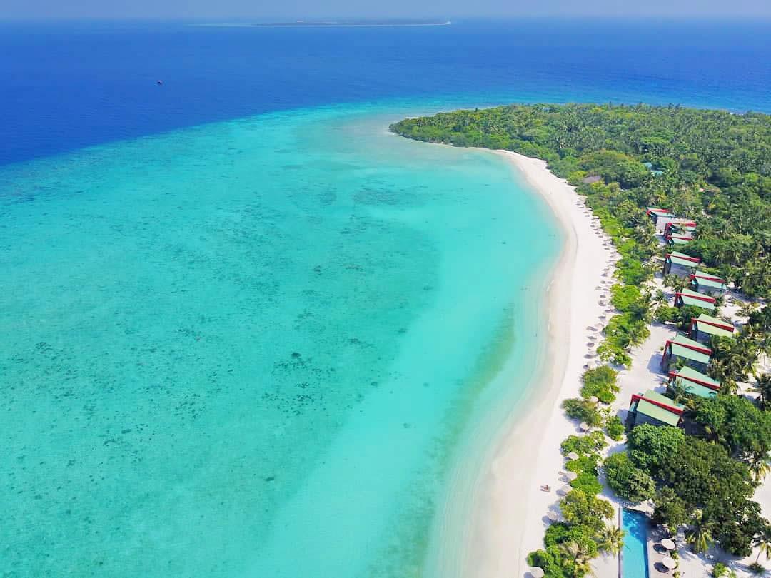 ރުކުމަޑި ނައްތާލުމަށް ހަނިމާދޫގައި "ޕެރަސިޓޮއިޑް" އާލާކުރަނީ