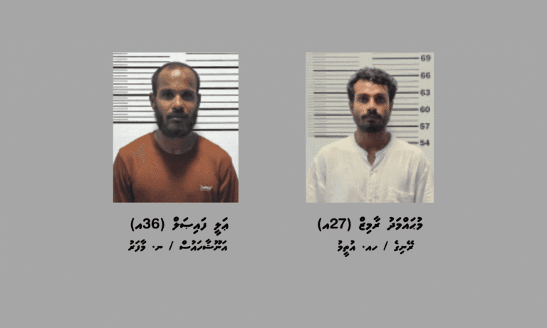 މަސްތުވާތަކެތީގެ މައްސަލައެއްގައި ނ. އަތޮޅުން ދެމީހުން ހައްޔަރުކޮށްފި