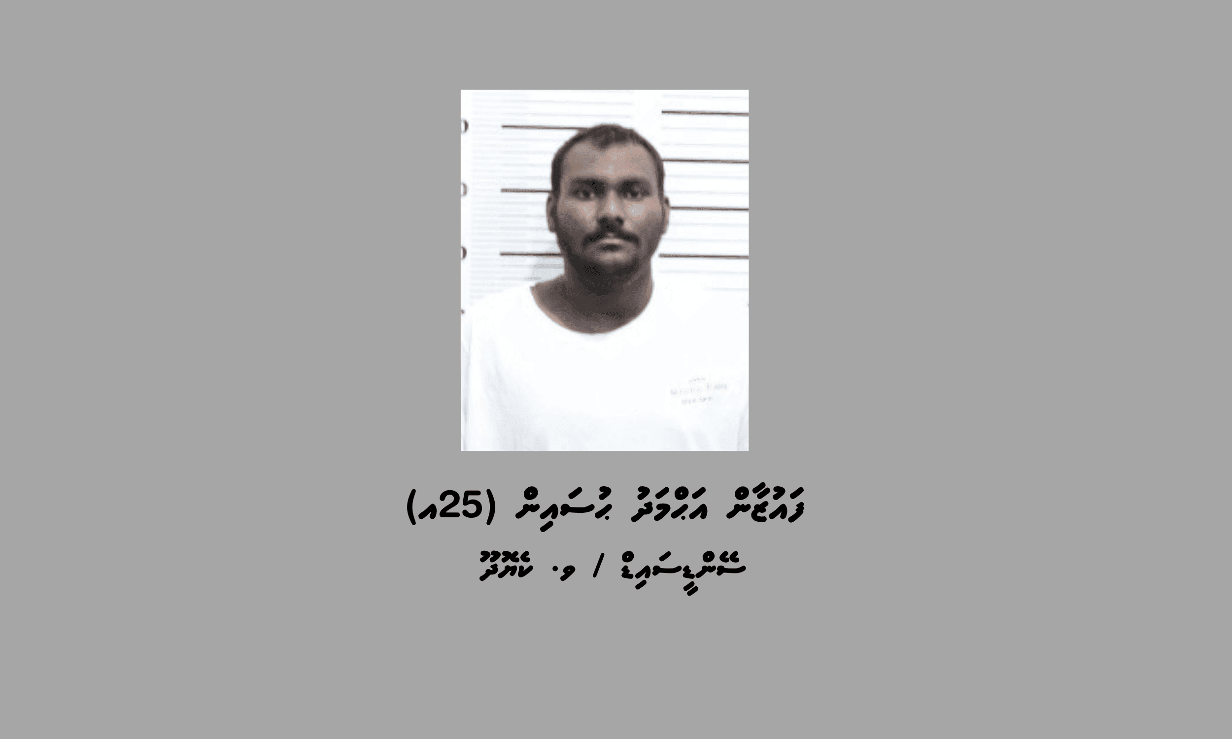 ގިނަ އަދަދެއްގެ މަސްތުވާތަކެތި ރާއްޖެ އެތެރެކުރިކަމުގެ ތުހުމަތުގައި މީހަކު ހައްޔަރަށް!