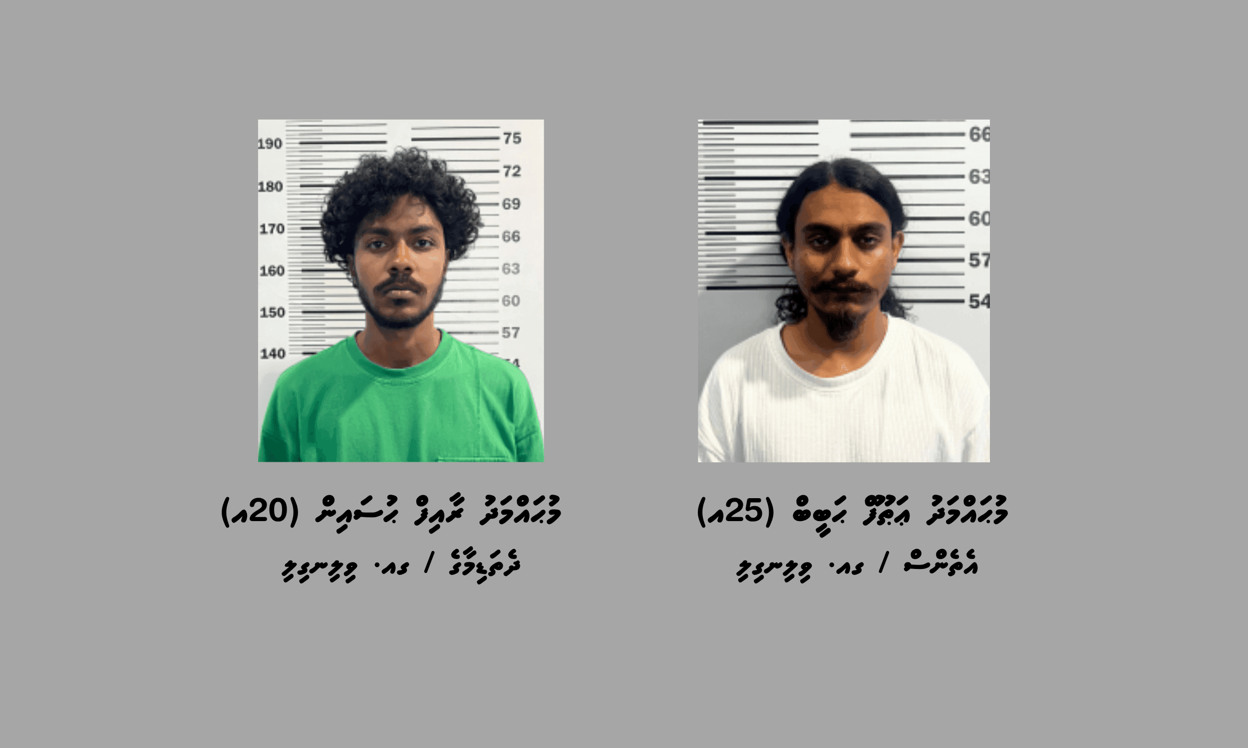 ކުޑަކުދިން ބޭނުންކޮށްގެން މަސްތުވާތަކެތީގެ ވިޔަފާރިކުރި ދެ މީހަކު ހައްޔަރަށް!