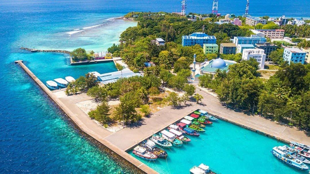 ވިލިމާލެ ކޮންކްރީޓް ޖަންގައްޔަކަށް ވިޔަނުދީ ހިފެހެއްޓުން މުހިއްމު: ރައީސް ނަޝީދު