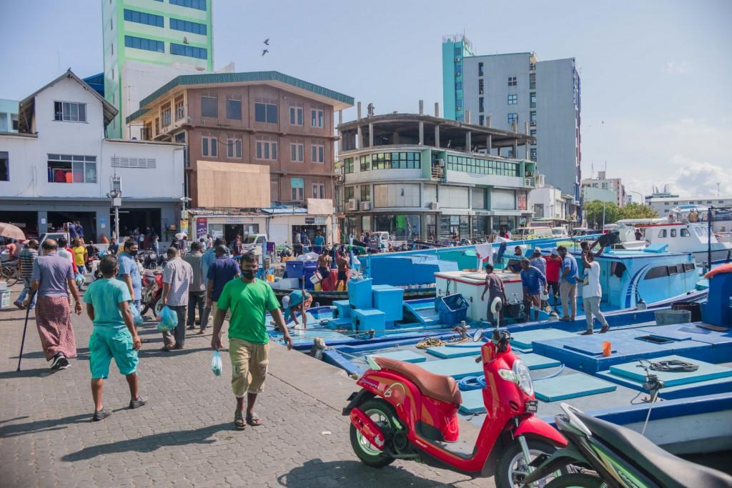 ނޯތު ހާބަރުން ވިޔަފާރި ބޭނުންތަކަށް އިތުރު 6 ޖާގަ ދޫކުރަނީ