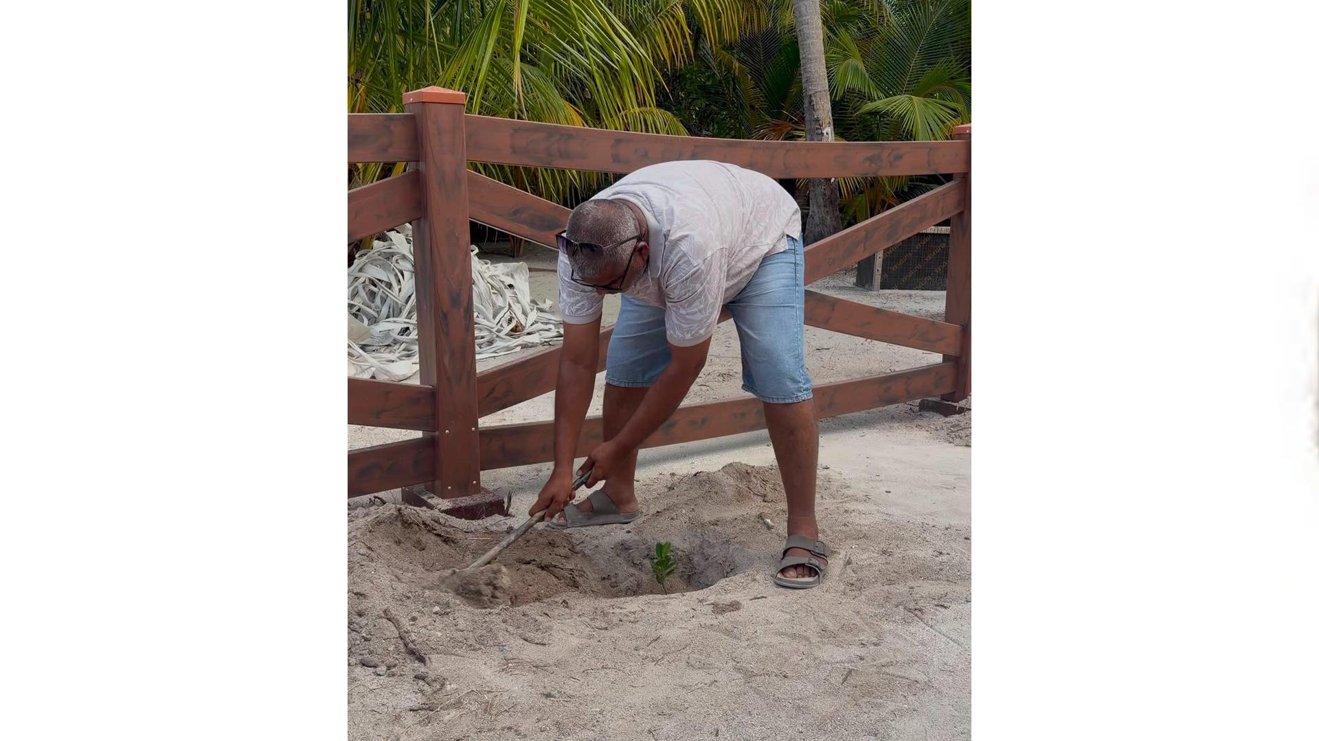 5 މިލިއަން ގަސް އިންދުމުގެ މަޝްރުޢޫގެ ދަށުން މަތިވެރީގައި ގަސް އިންދުމުގެ ހަރަކާތެއް