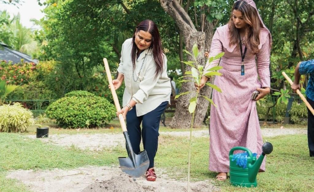 ބަންގްލަދޭޝްއިން ރާއްޖެއަށް 20،000 ގަސް ހަދިޔާކޮށްފި