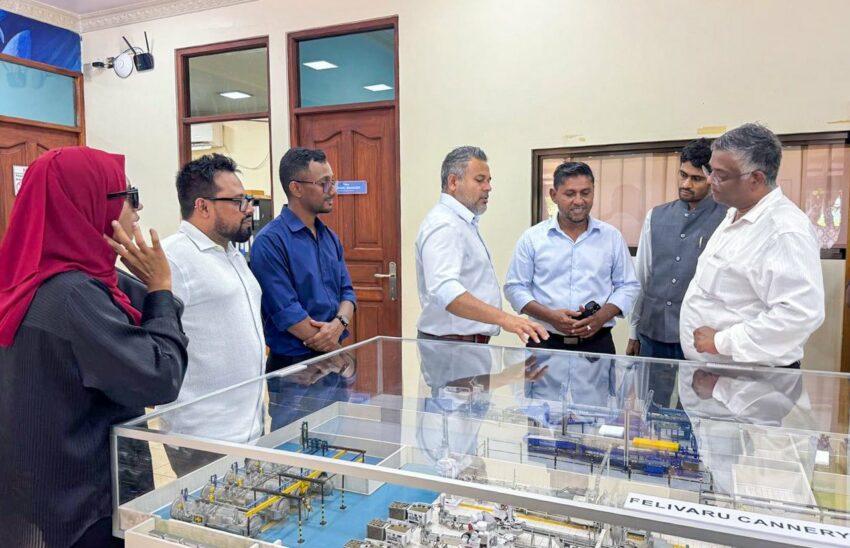 ފެލިވަރުގެ އާ ކޯލްޑް ސްޓޯރޭޖް މަސްވެރިންގެ ދުވަހަށް ނިންމަނީ