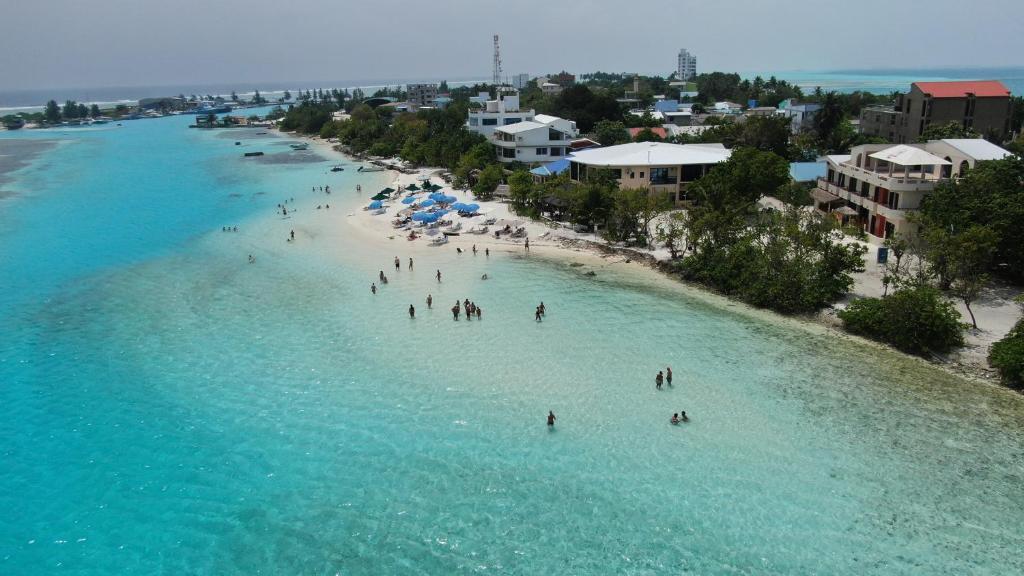 ޑޮލަރުން ލިބުނު އާމްދަނީ އިތުރުވެ، 976 މިލިއަނަށް!
