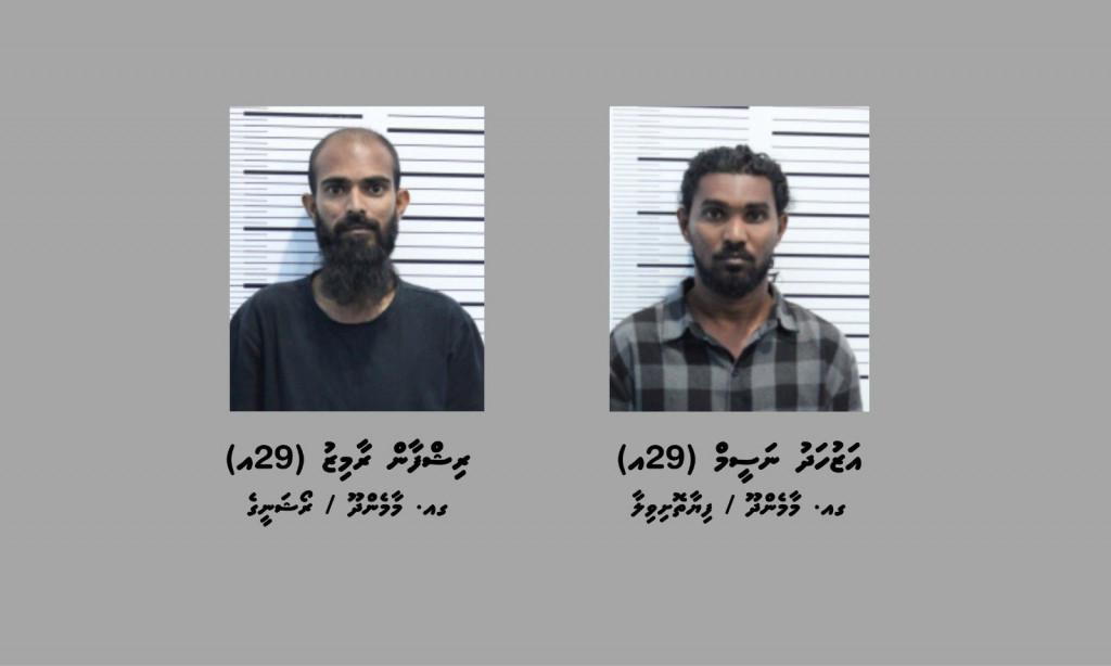 ގާތްގަނޑަކަށް 17.7 ކިލޯގެ މަސްތުވާތަކެއްޗާއެކު ނެޓްވޯކެއްގެ އިސް ދެ މީހަކު ހައްޔަރުކޮށްފި